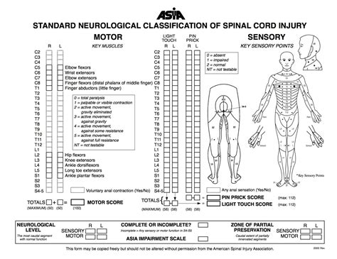 American Spinal Injury Association (ASIA) Impairment Scale.